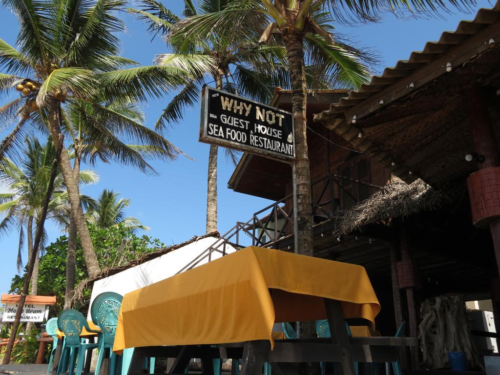 Why Not Guest House Hikkaduwa Exterior photo